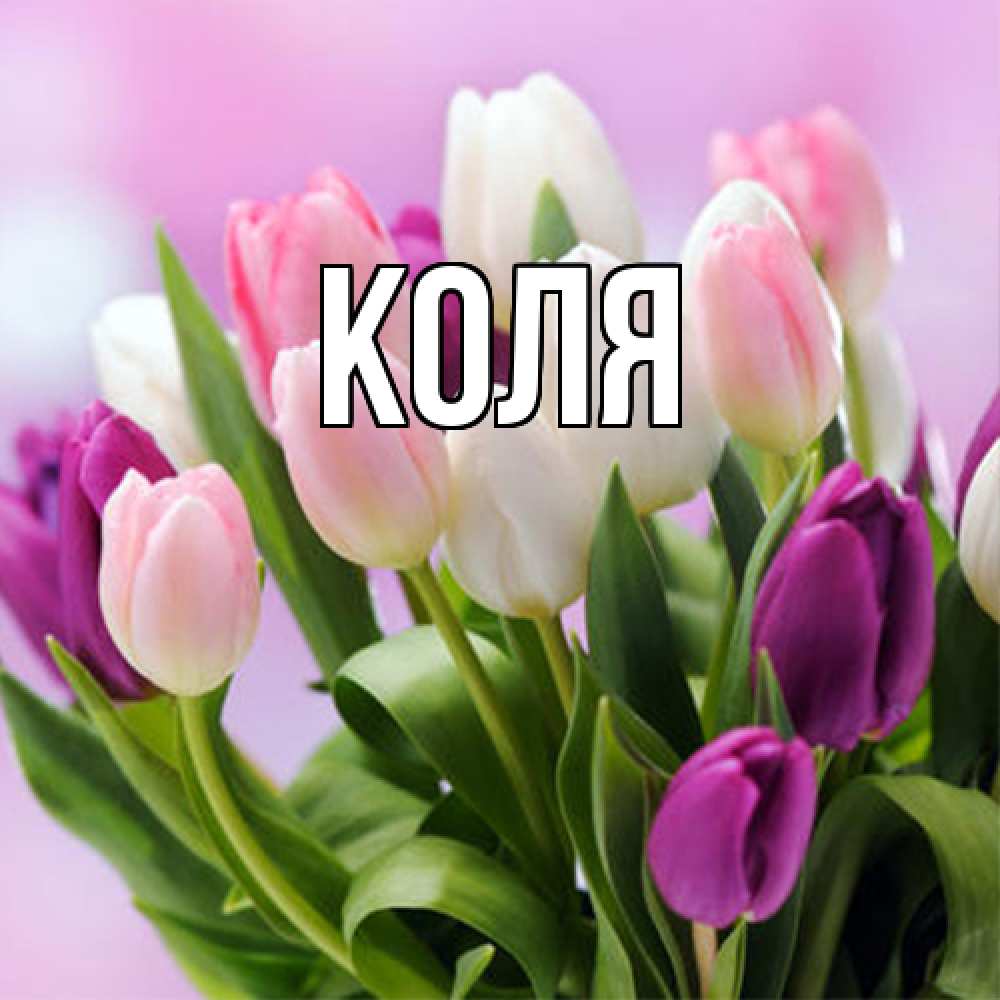 Открытка  с именем. коля, Главная  
