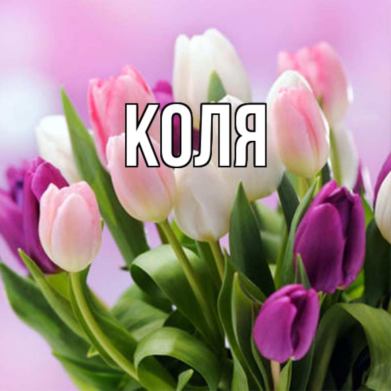 Картинка  с именем , коля
