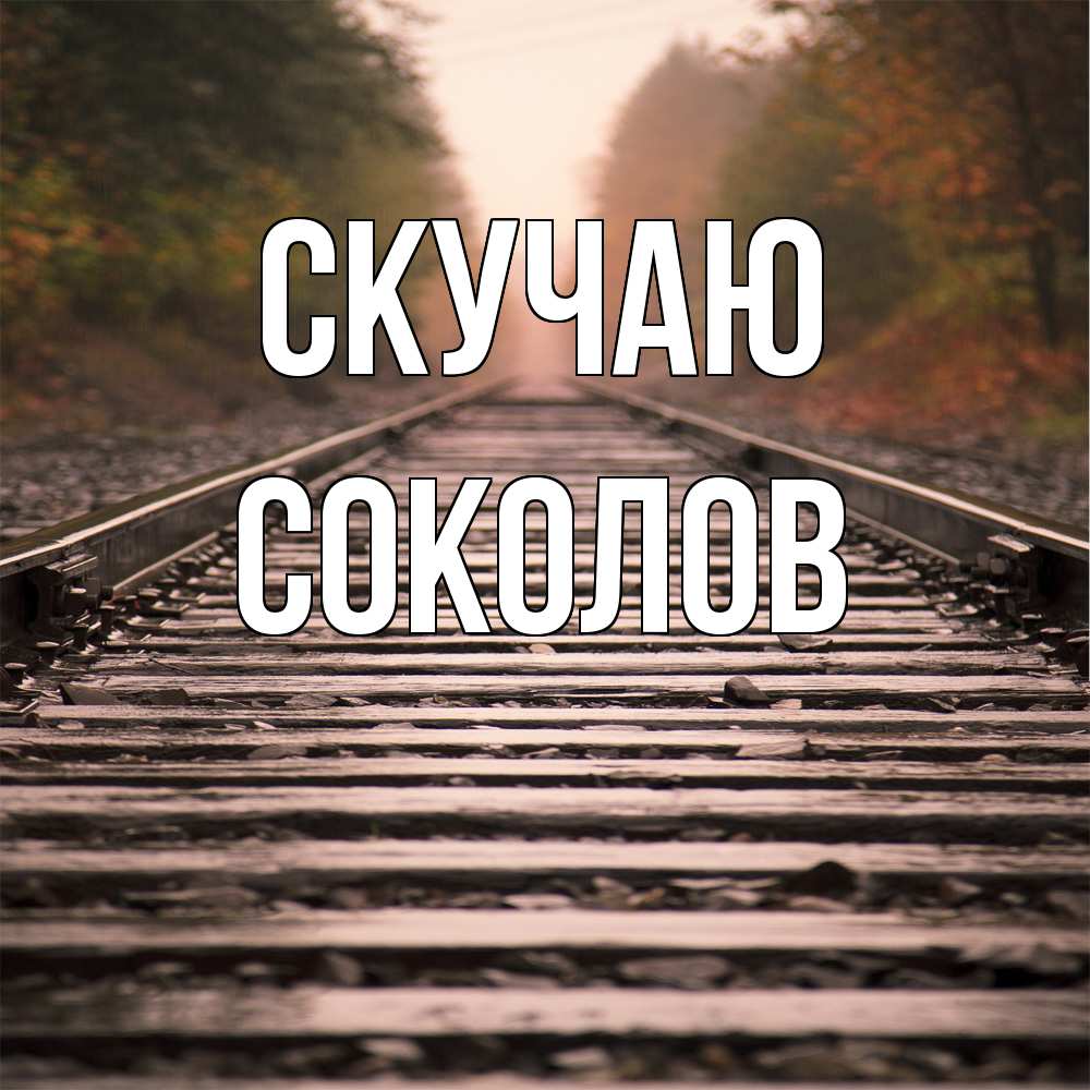 Открытка  с именем. Соколов, Скучаю  