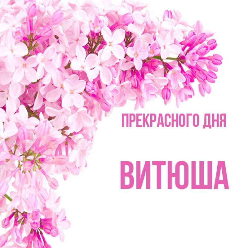 Картинка Прекрасного дня, Витюша