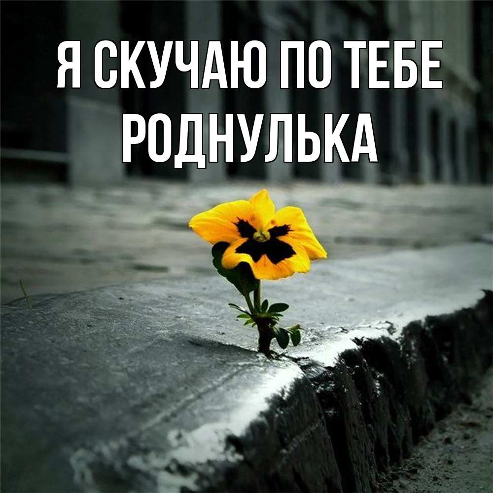 Открытка  с именем. роднулька, Я скучаю по тебе  