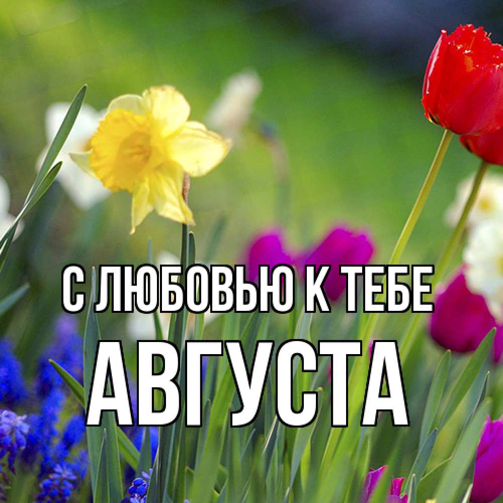 Открытка  с именем. Августа, С любовью к тебе  
