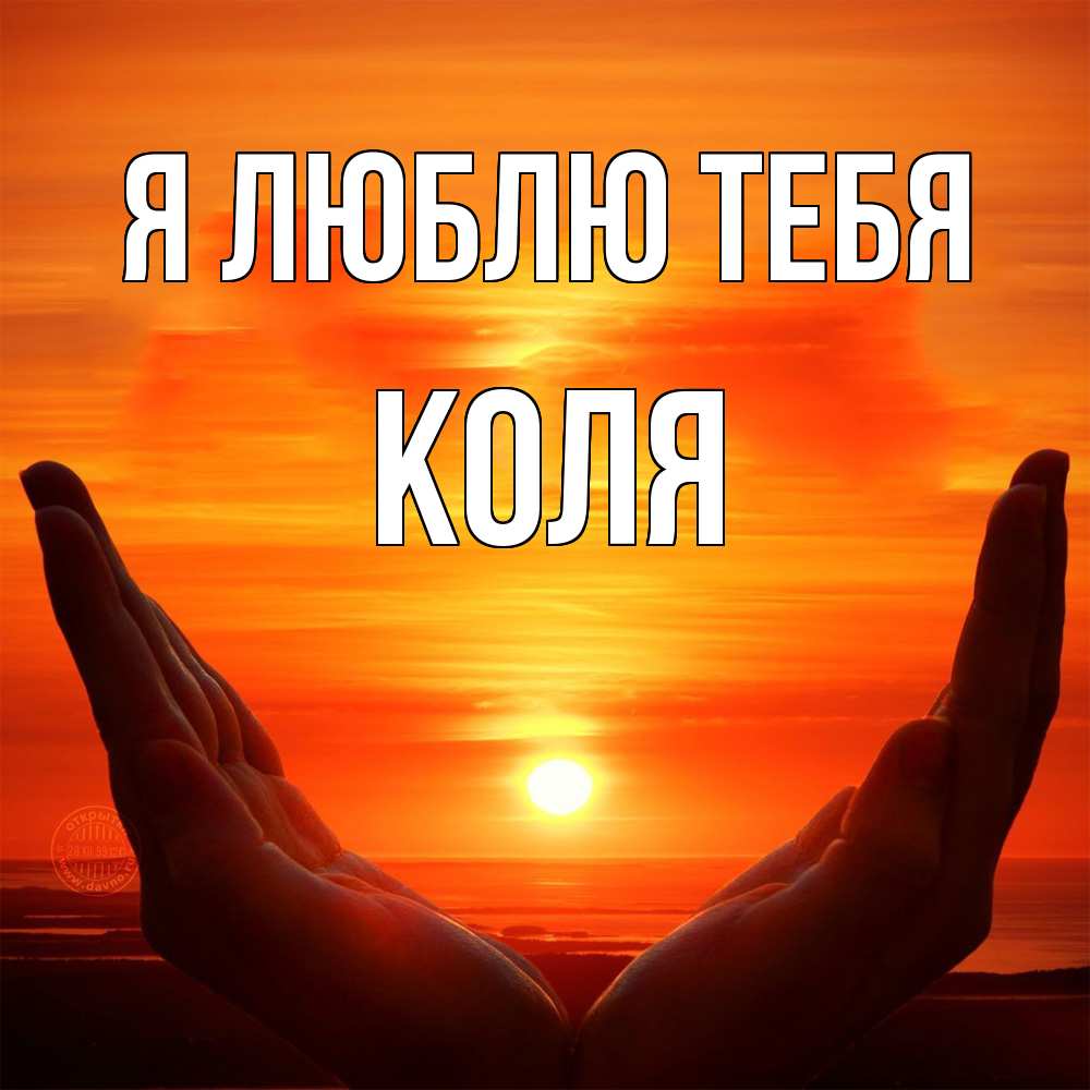 Открытка  с именем. коля, Я люблю тебя  