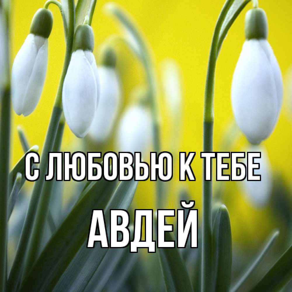 Открытка  с именем. Авдей, С любовью к тебе  