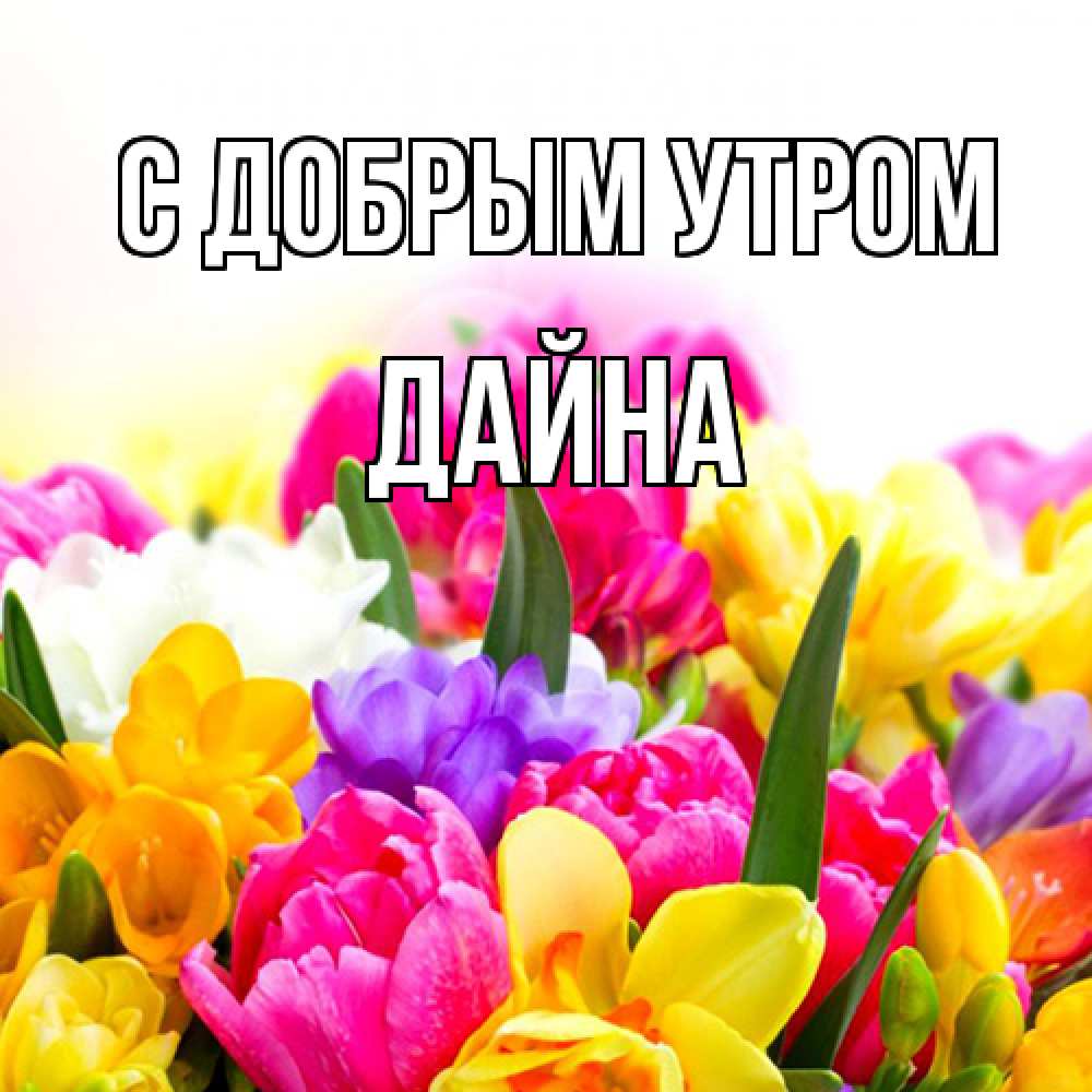 Открытка  с именем. Дайна, С добрым утром  