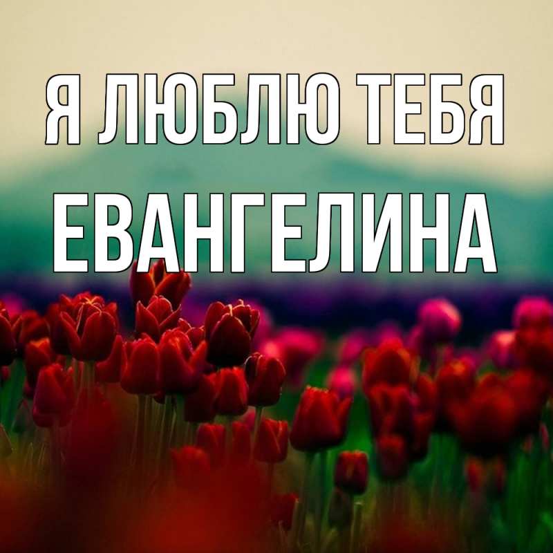 Картинка Я люблю тебя, Евангелина