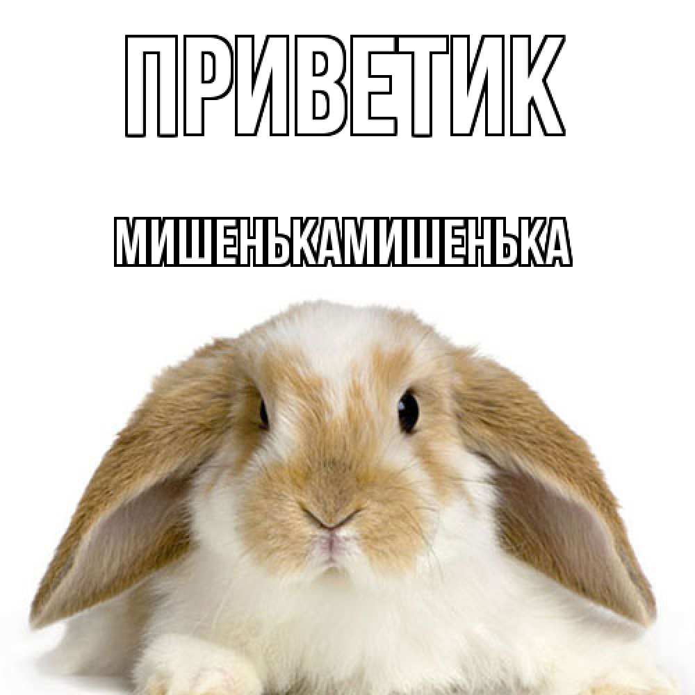 Открытка  с именем. МишенькаМишенька, приветик  