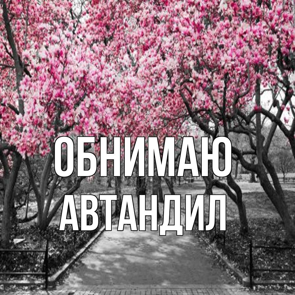 Открытка  с именем. Автандил, Обнимаю  