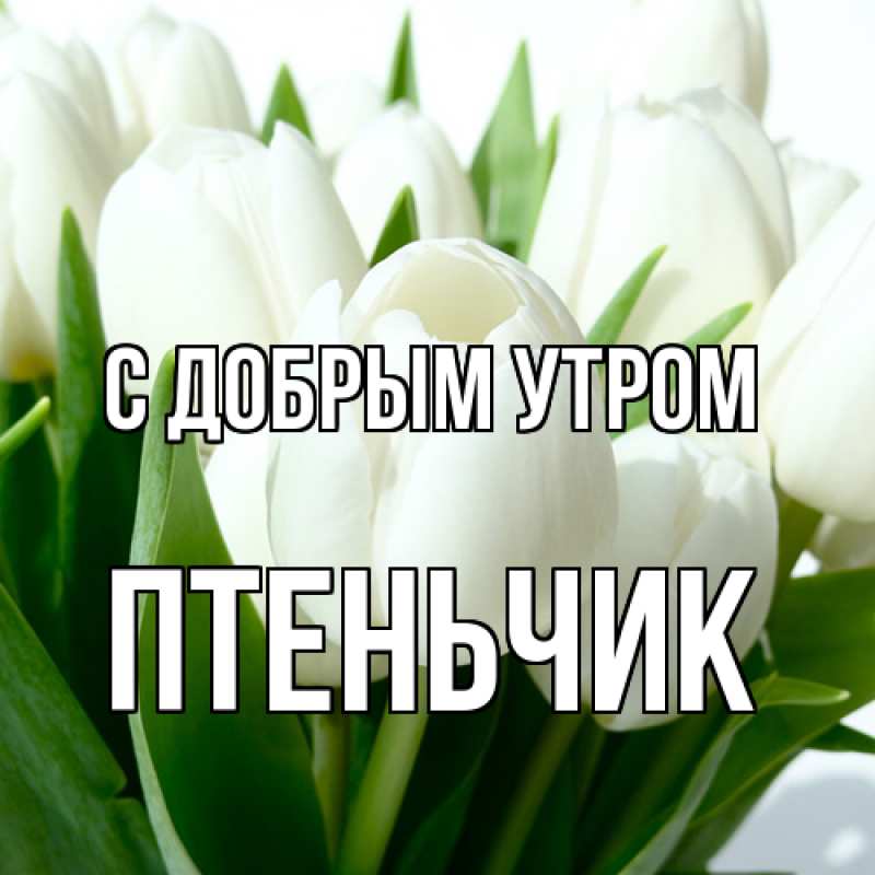 Картинка С добрым утром, Птеньчик