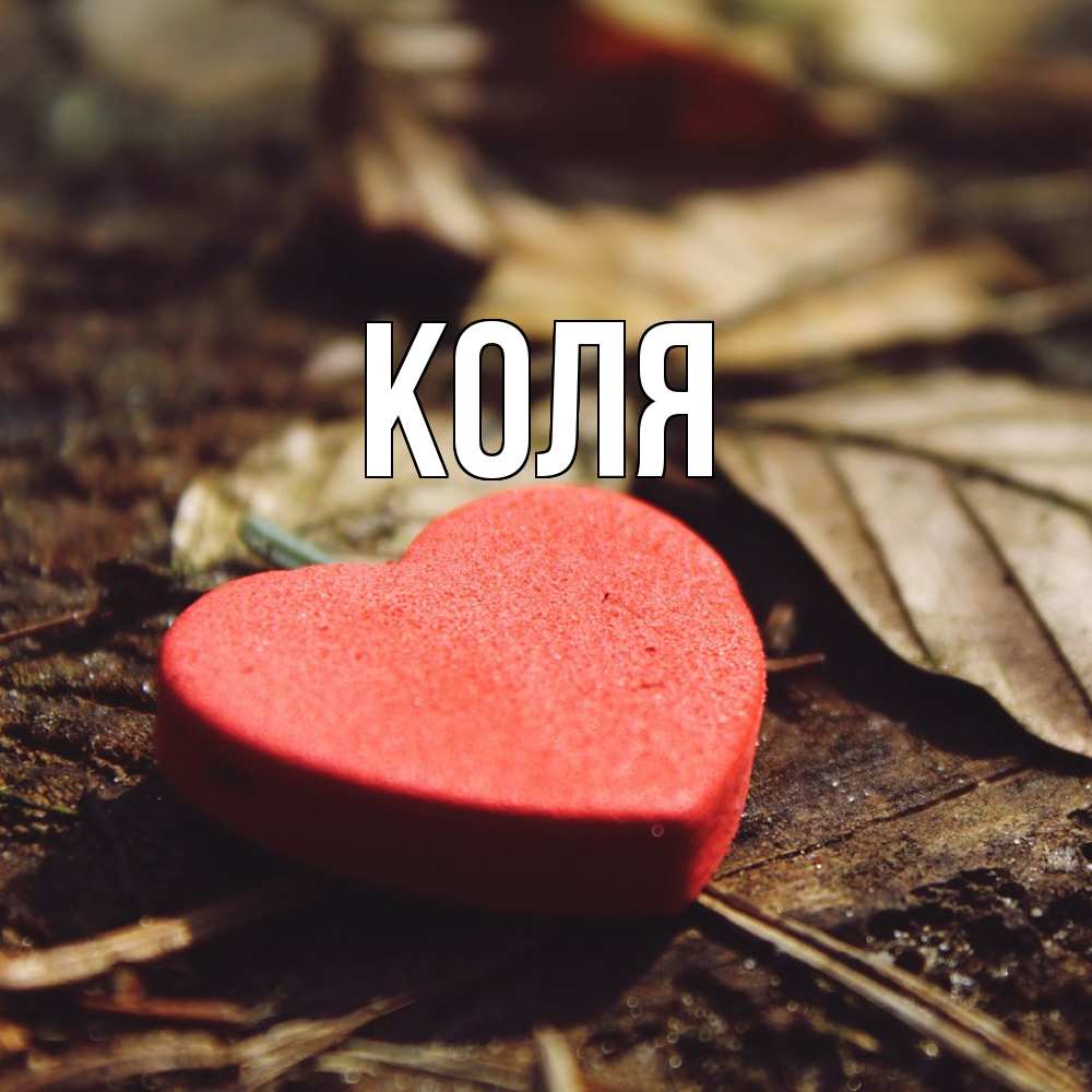 Открытка  с именем. коля, Главная  