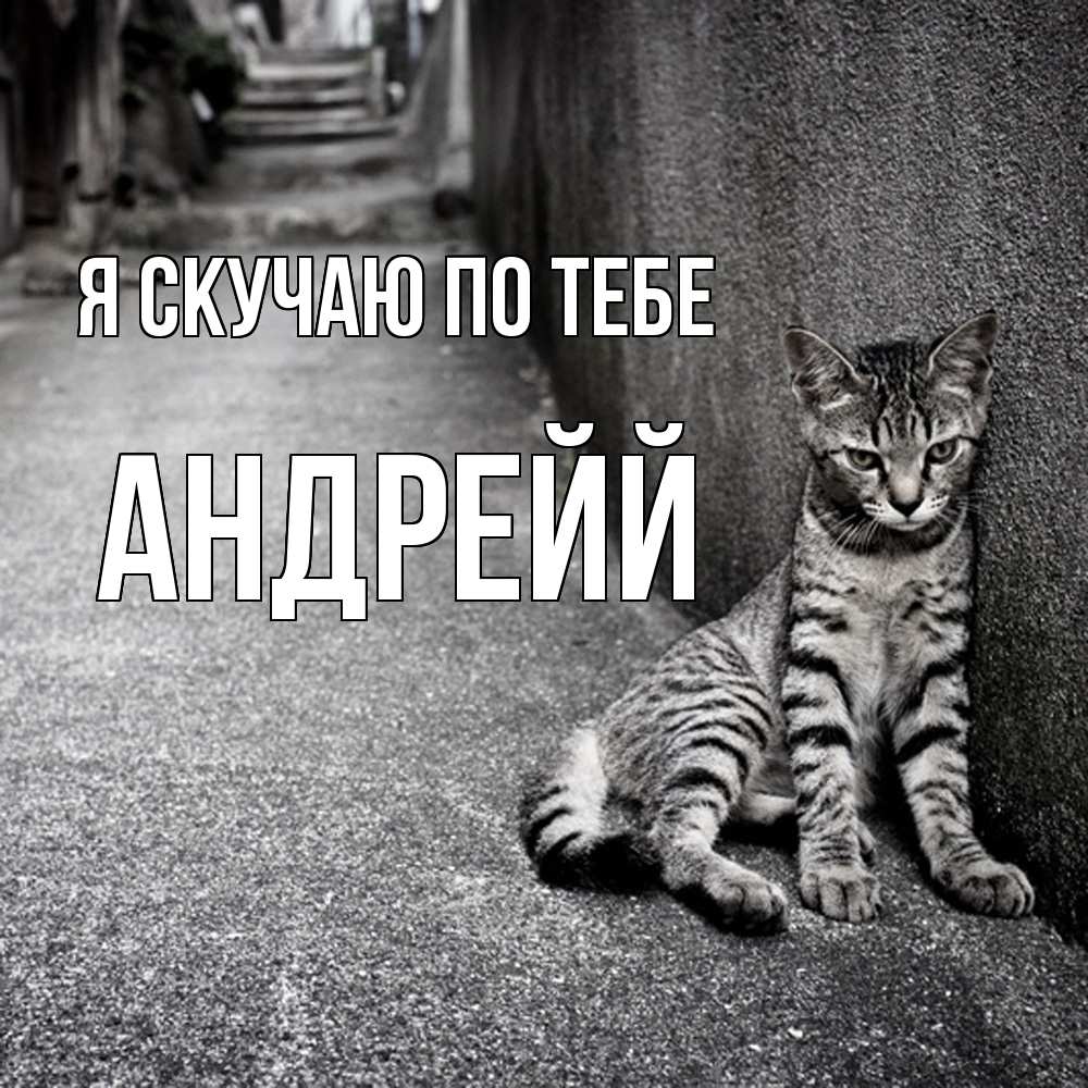 Открытка  с именем. Андрейй, Я скучаю по тебе  