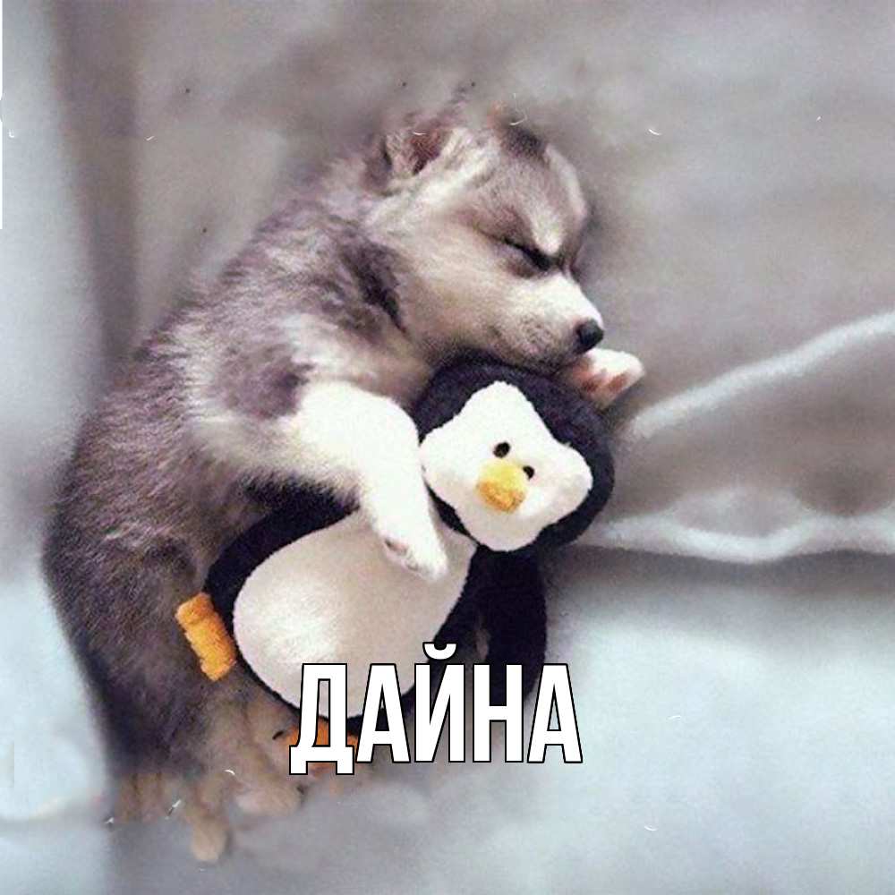 Открытка  с именем. Дайна, Главная  