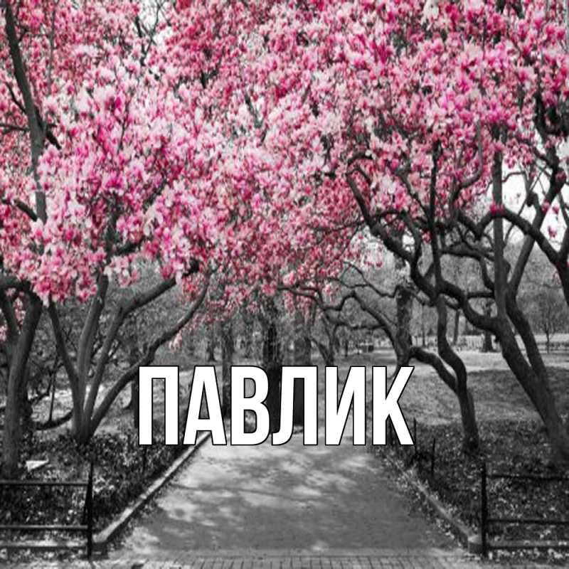 Картинка  с именем , Павлик