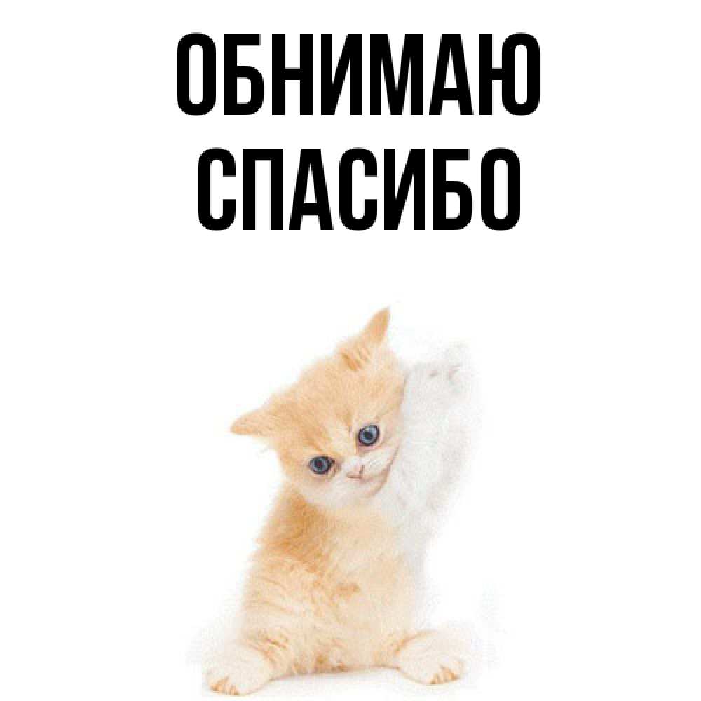 Открытка  с именем. СПАСИБО, Обнимаю  