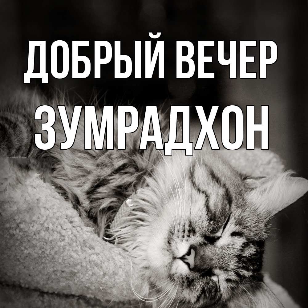 Открытка  с именем. Зумрадхон, Добрый вечер  