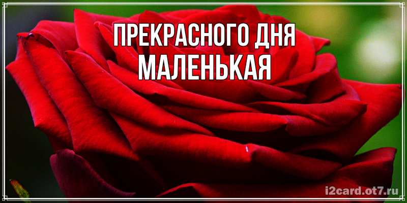 Картинка Прекрасного дня, Маленькая