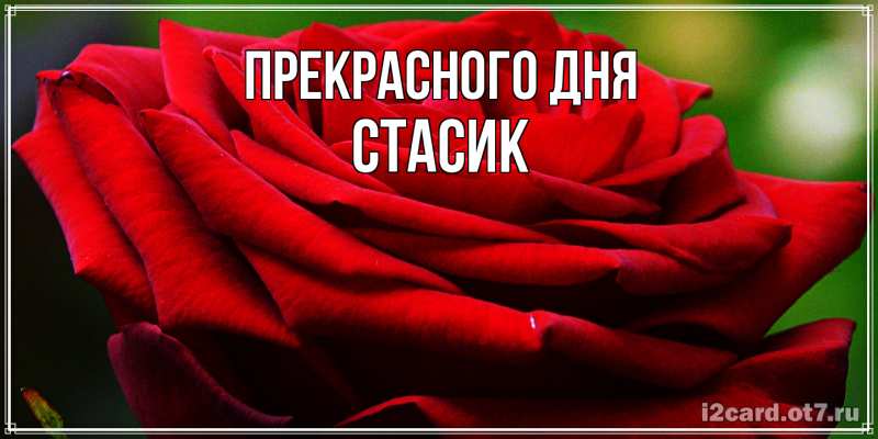 Картинка Прекрасного дня, Стасик