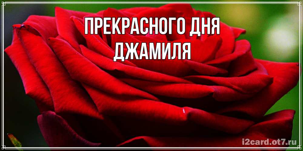 Открытка  с именем. Джамиля, Прекрасного дня  