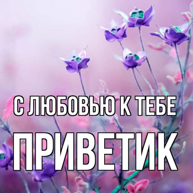 Картинка С любовью к тебе, приветик