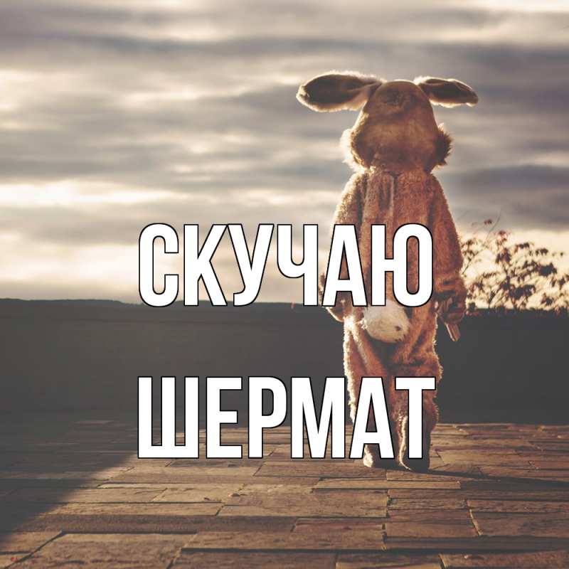 Картинка Скучаю, Шермат