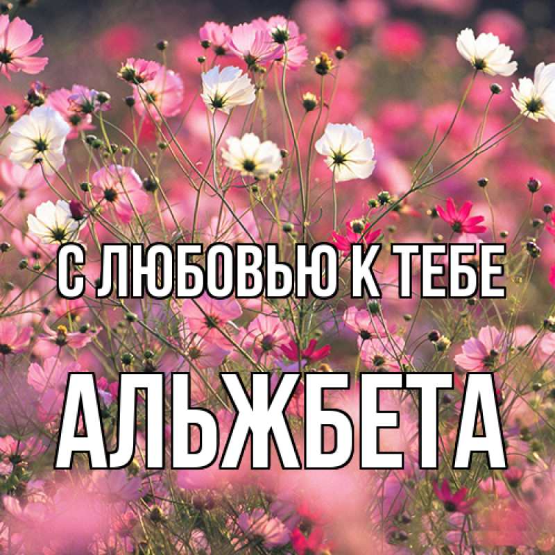 Картинка С любовью к тебе, Альжбета