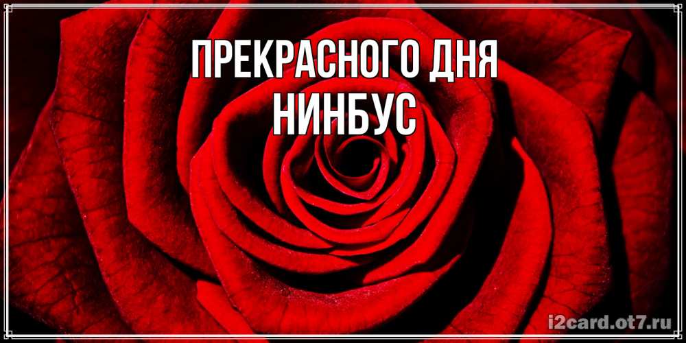 Открытка  с именем. нинбус, Прекрасного дня  