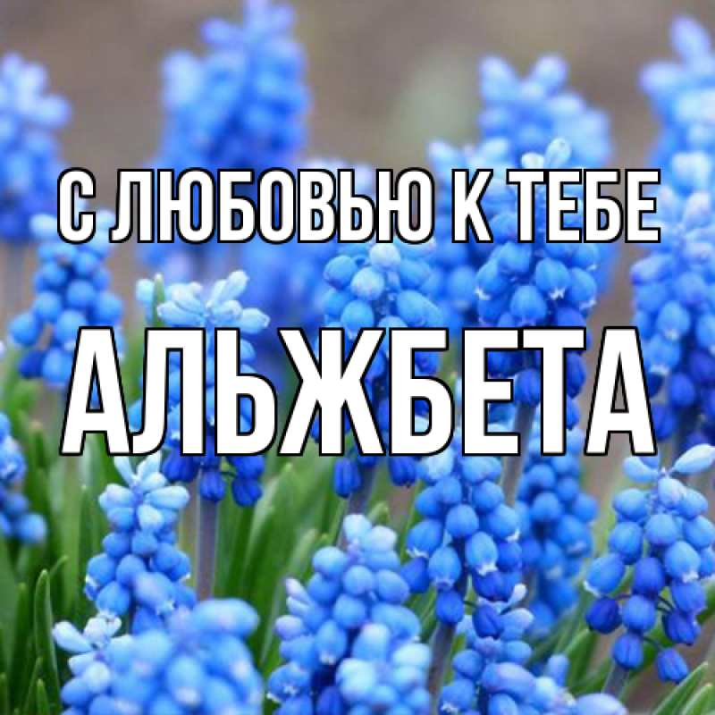 Картинка С любовью к тебе, Альжбета