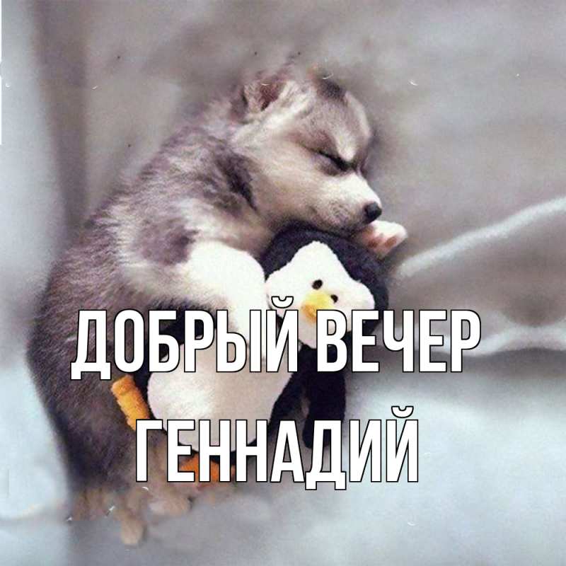 Картинка Добрый вечер, Геннадий