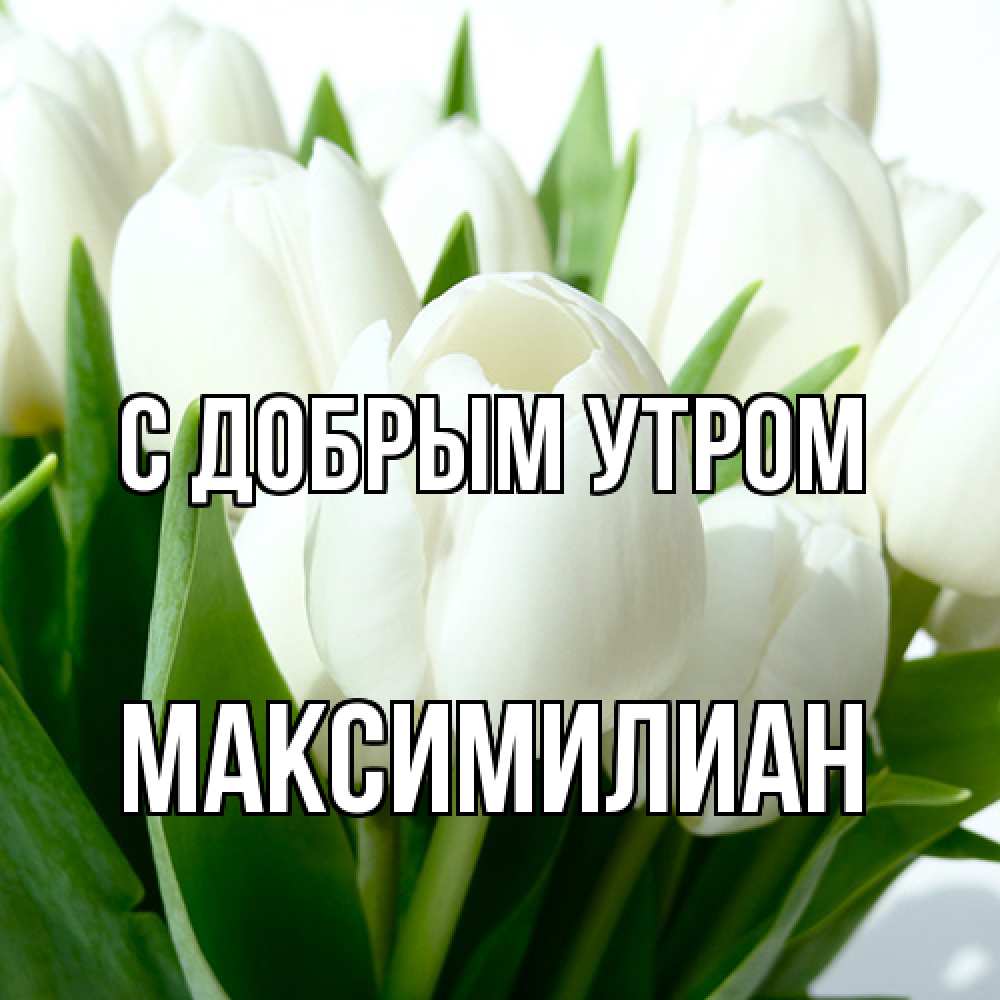 Открытка  с именем. Максимилиан, С добрым утром  