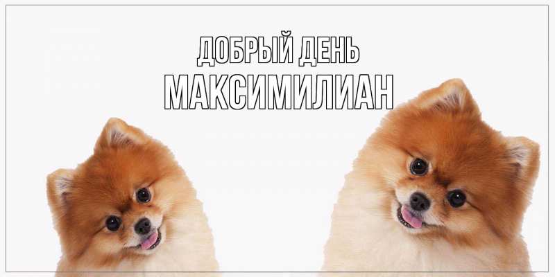 Картинка Добрый день, Максимилиан