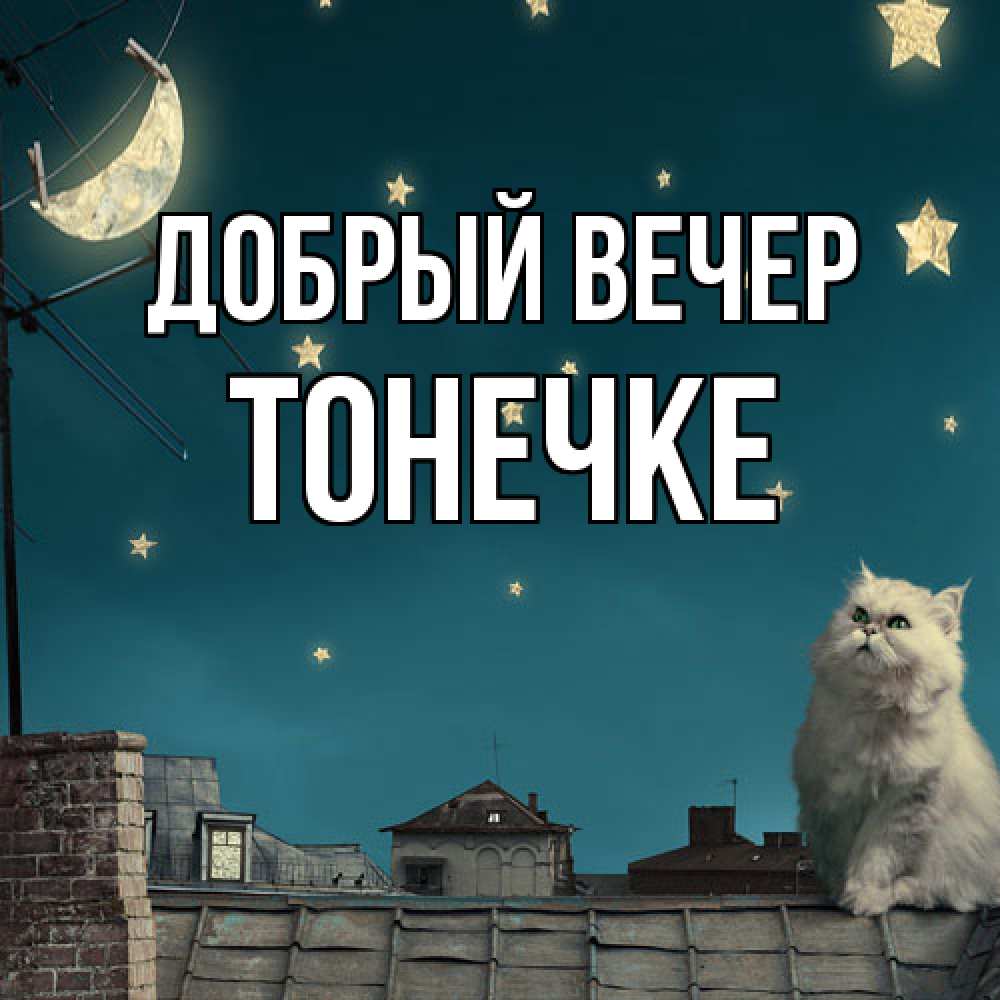 Открытка  с именем. Тонечке, Добрый вечер  
