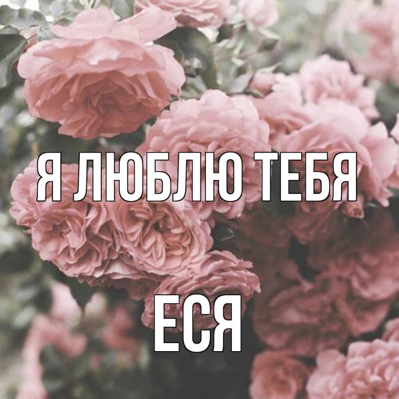 Картинка Я люблю тебя, Еся