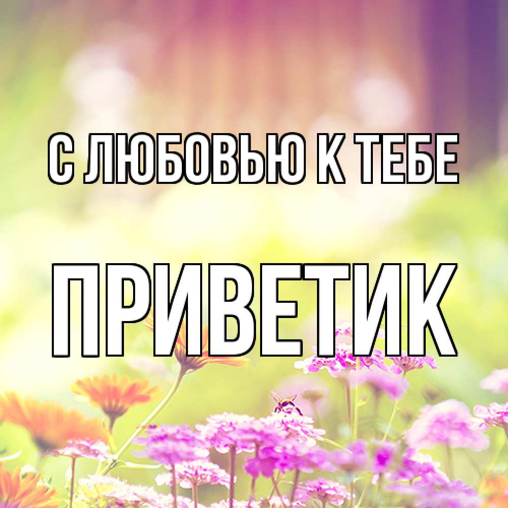 Открытка  с именем. приветик, С любовью к тебе  