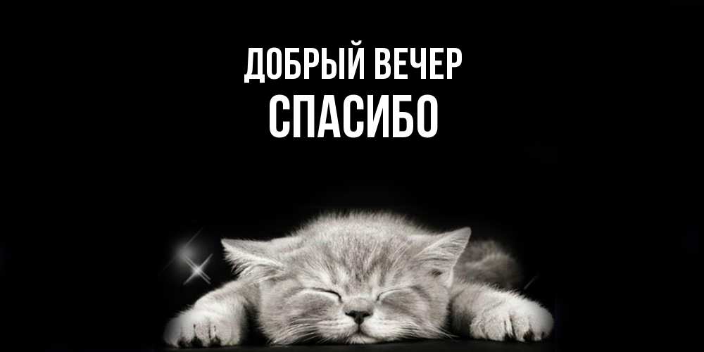 Открытка  с именем. СПАСИБО, Добрый вечер  