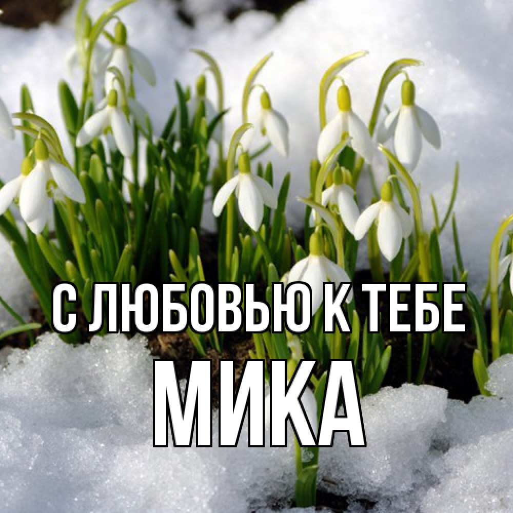 Открытка  с именем. мика, С любовью к тебе  