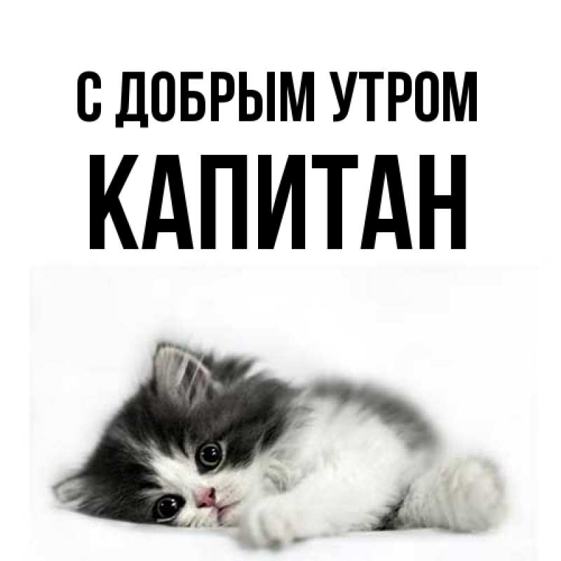 Картинка С добрым утром, Капитан