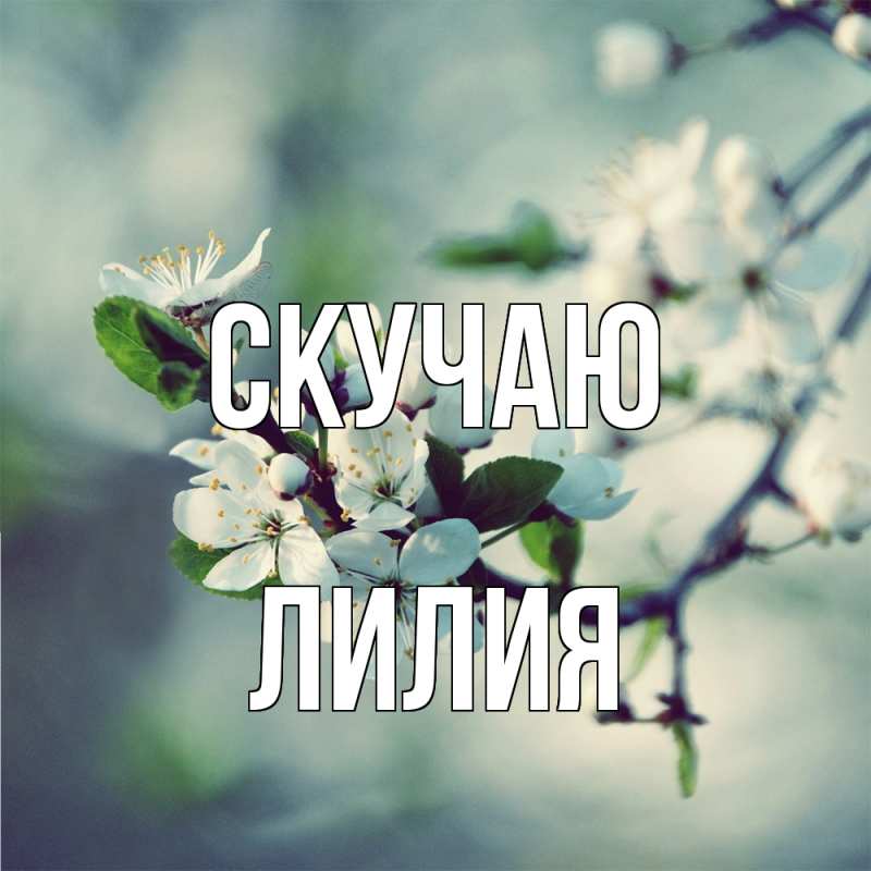 Картинка Скучаю, Лилия
