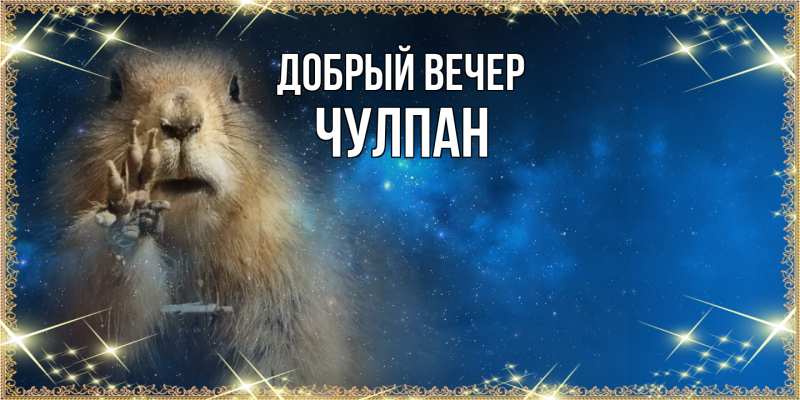 Картинка Добрый вечер, Чулпан