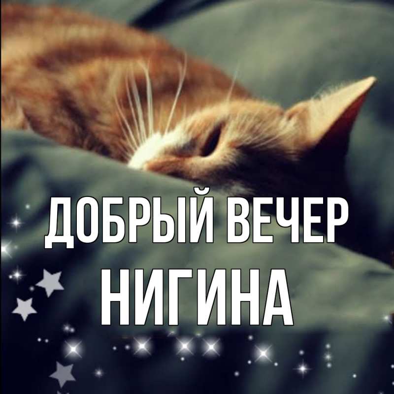 Картинка Добрый вечер, Нигина