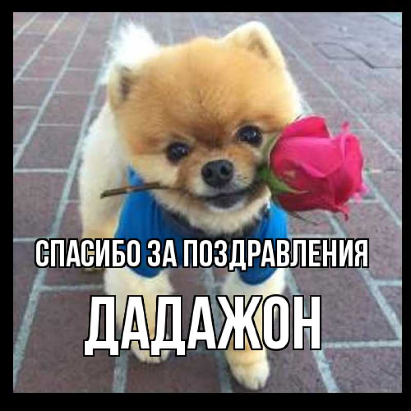 Картинка Спасибо за поздравления, Дадажон