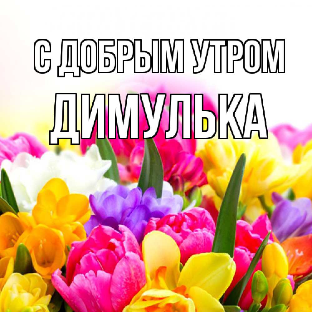 Открытка  с именем. Димулька, С добрым утром  