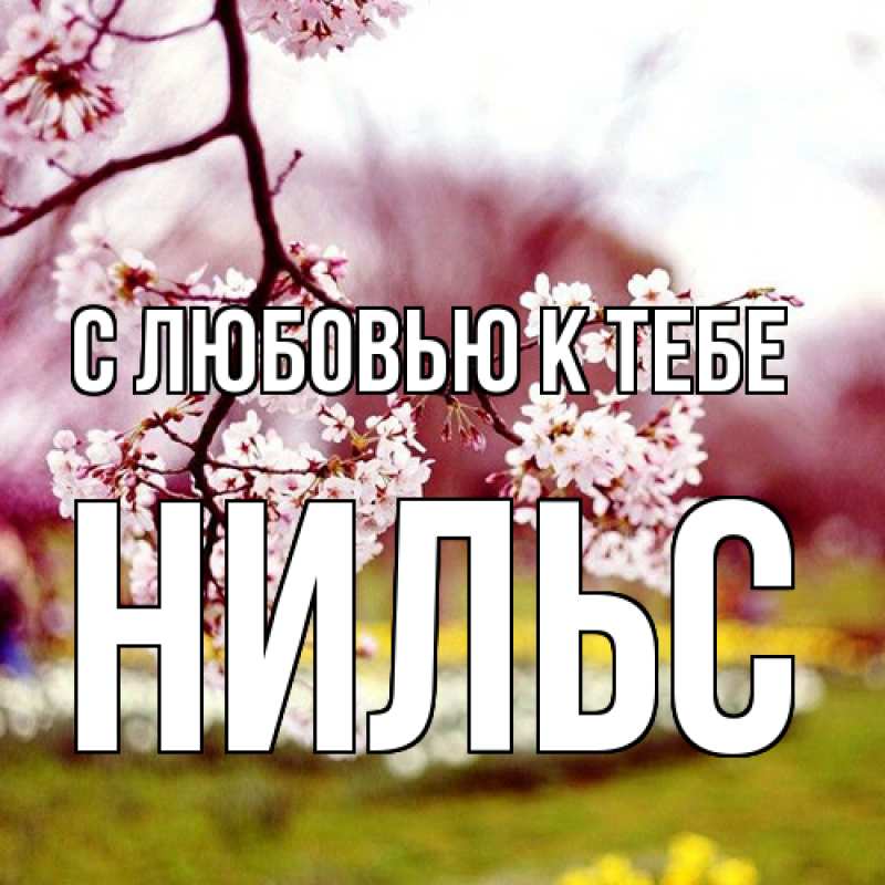 Открытка с именем, Нильс, С любовью к тебе