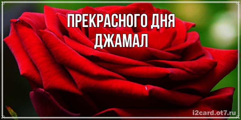 Картинка Прекрасного дня, Джамал