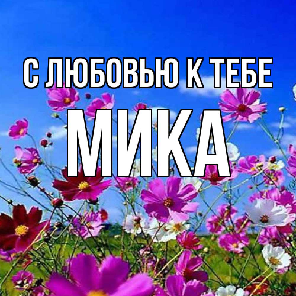 Открытка  с именем. мика, С любовью к тебе  