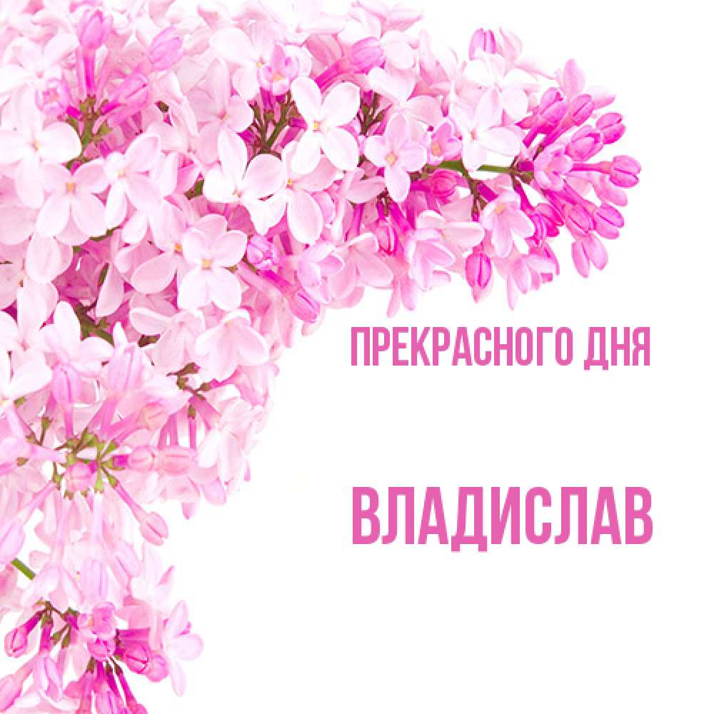 Открытка  с именем. Владислав, Прекрасного дня  