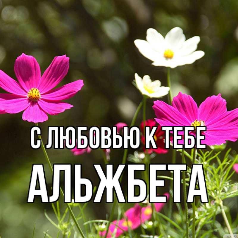 Картинка С любовью к тебе, Альжбета