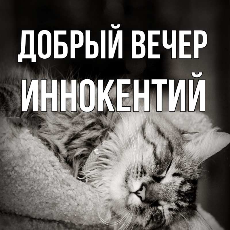 Картинка Добрый вечер, Иннокентий