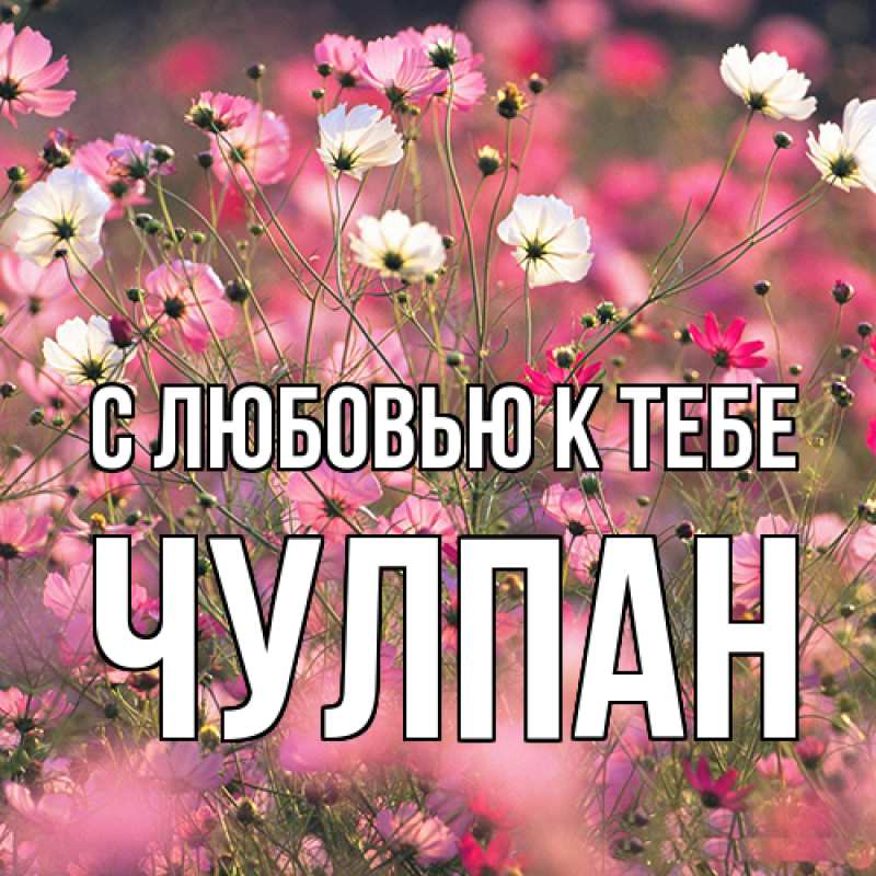 Картинка С любовью к тебе, Чулпан