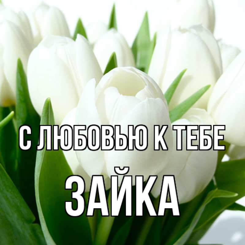 Картинка С любовью к тебе, Зайка