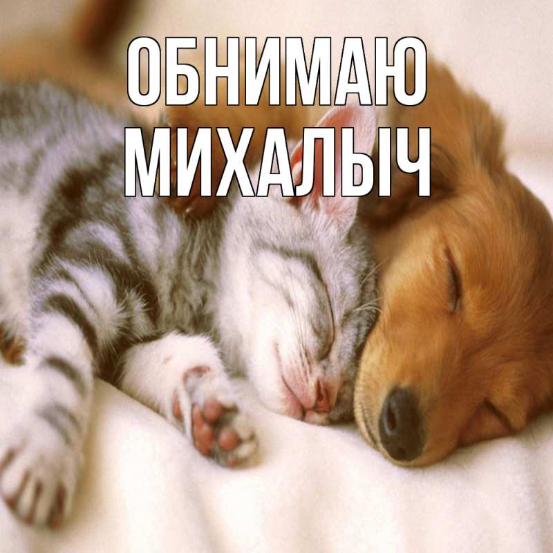 Картинка Обнимаю, Михалыч
